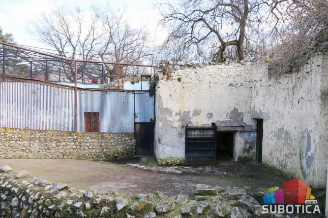 Medeni na suncu, Goca u jazbini - šta nam poručuju narodni "meteorolozi"?