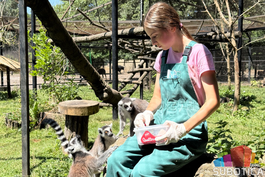 Optužbe o uginućima u Zoo vrtu Palić: Uprava odbacuje navode o nemaru