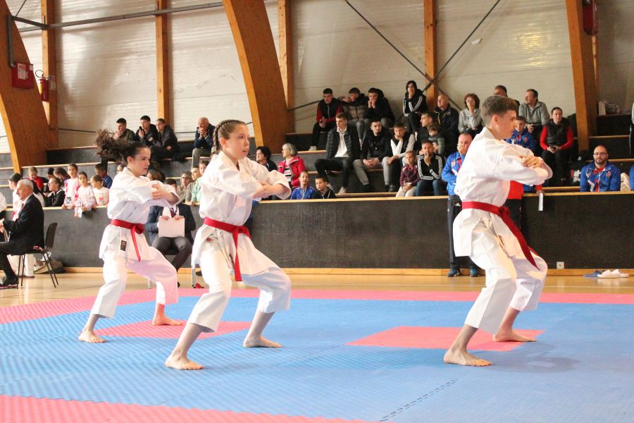Karate: "Spartak Enpi" osvojio prvo mesto na Prvenstvu Srbije