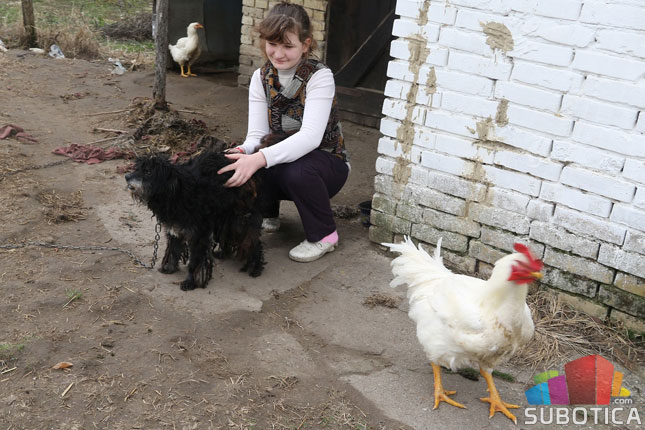 Samohranoj majci iz Tavankuta plene imovinu zbog nasleđenog duga