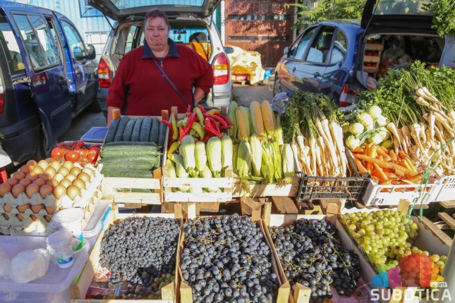 Na "Vašaru zimnice" za svakog po nešto