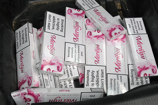 Zaplenjeno 2480 paklica cigareta