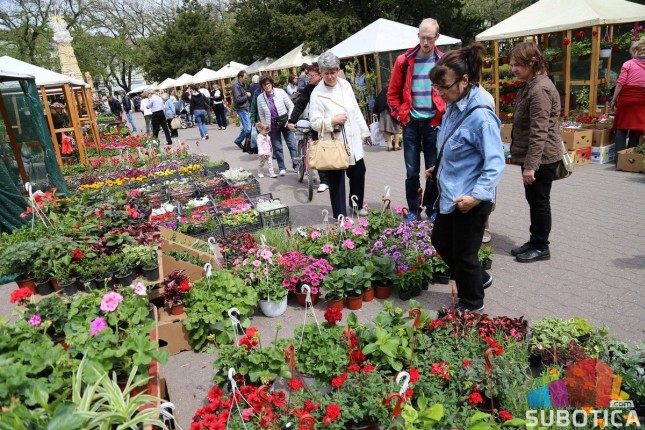 Sajam cveća od četvrtka na šetalištu pred Plave fontane