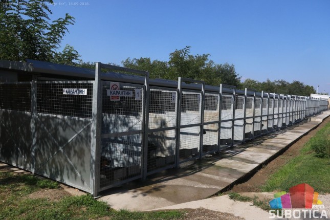 Gotovo polovina uhvaćenih pasa ima vlasnika