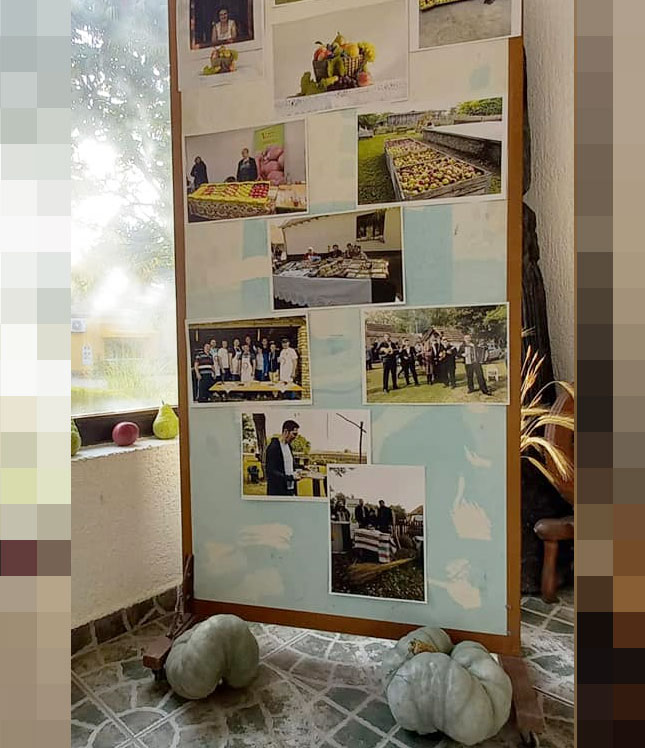 Festival voća u Tavankutu privukao ljubitelje jabuke s peska