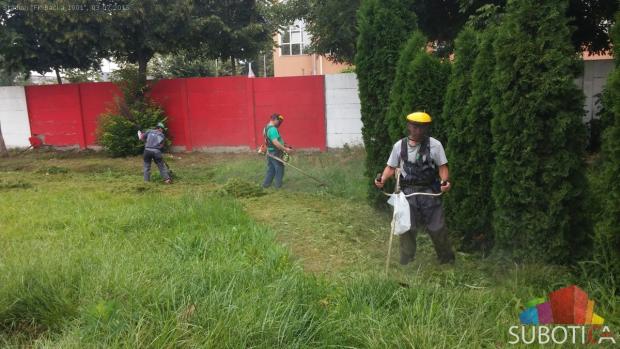 Počela realizacija plana novog rukovodstva FK "Bačka 1901"