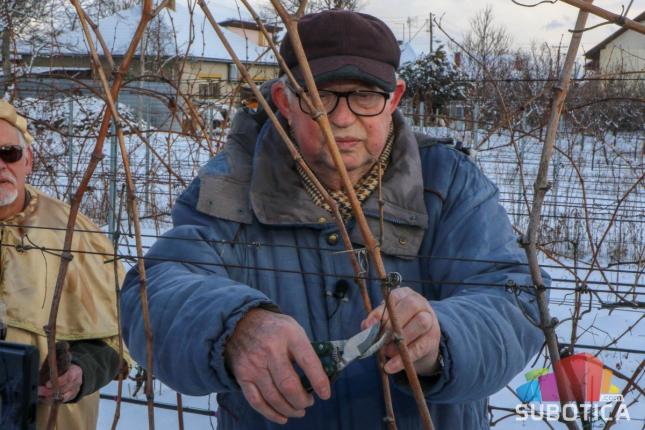 Vinari obeležili Svetog Vinka