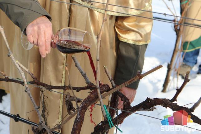 Vinari obeležili Svetog Vinka