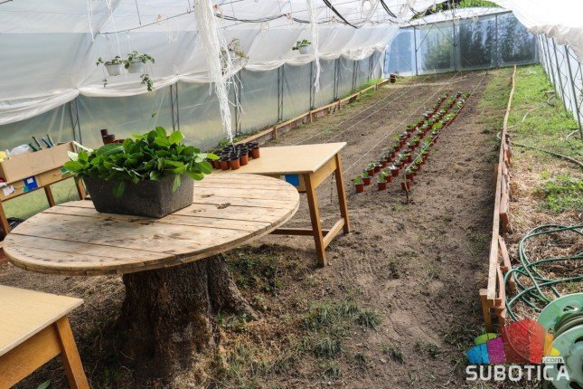 Korisnici "Kolevke" prave papirnu ambalažu i gaje organske proizvode