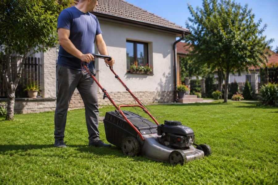 Dvorište koje diše: ePlaneta ima sve što vam treba za savršen travnjak i čiste staze bez muke