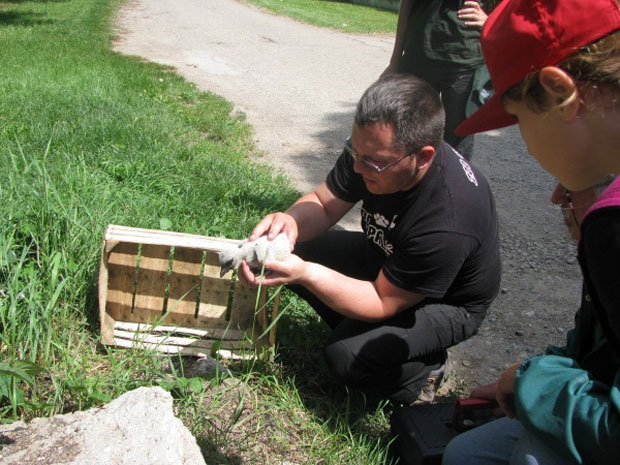 Spašavanje mladunčeta bele rode