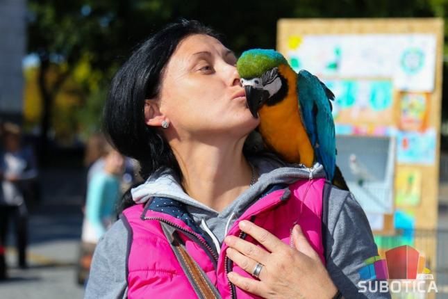 Obeležen Svetski dan životinja