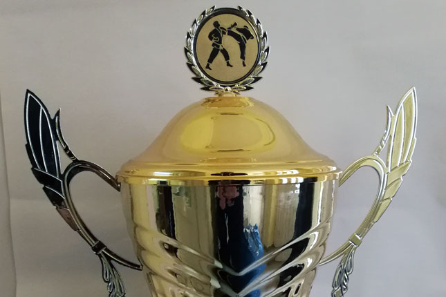 Karate: Spartak Enpi osvojio 30 medalja na turniru u Jagodini