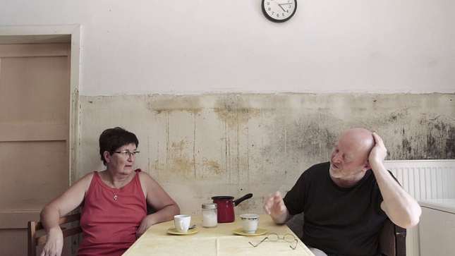 Ekološki dokumentarci sa snažnom porukom na 25. FEF Palić