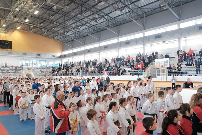 Karate: "Spartak Enpi" iz Novog Sada doneo šesnaest medalja