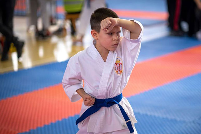 Karate: "Spartak Enpi" iz Novog Sada doneo šesnaest medalja