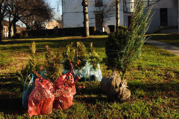 Projekat "Urban Green" - postavka skulpture i akcija ozelenjavanja javne površine