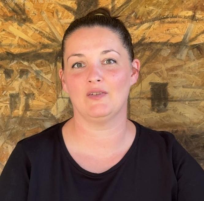 Istraživačka učionica u zoo-vrtu uskoro završena, radovi na igralištu i "bejbi-zou" u toku