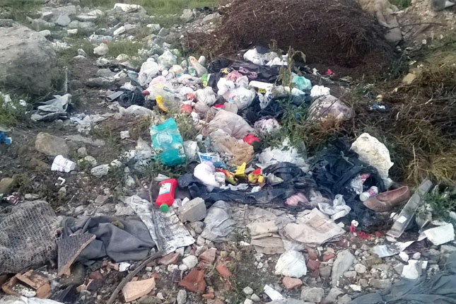 Problem čistoće i održavanja javnih površina u gradu