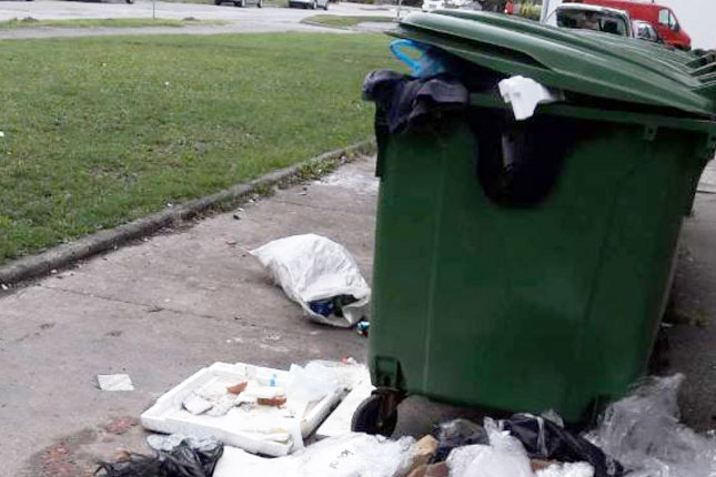 Problem čistoće i održavanja javnih površina u gradu