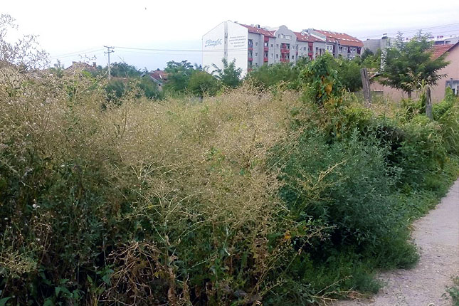 Problem čistoće i održavanja javnih površina u gradu