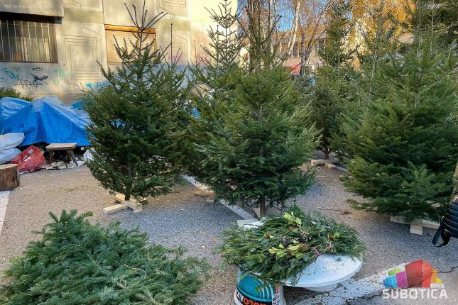 Badem jeftiniji od oraha! Hoće li poskupljenja osiromašiti prazničnu trpezu?