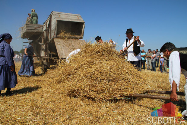 U Žedniku održano takmičenje risara