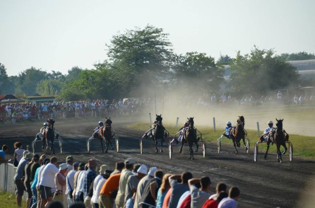 Završene konjičke trke "Dužijanca 2013"