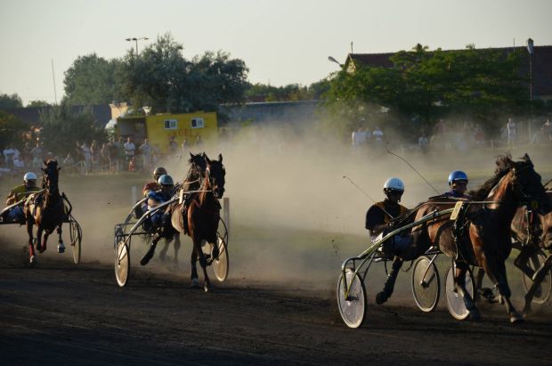 Završene konjičke trke "Dužijanca 2013"