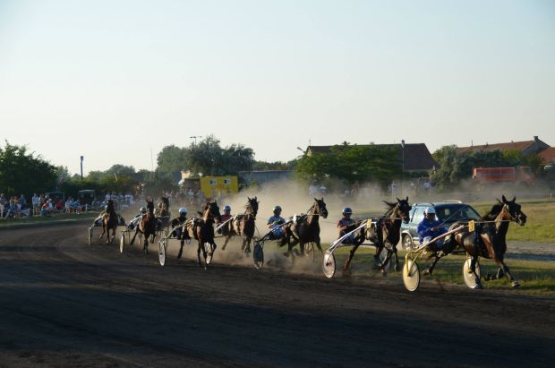 Završene konjičke trke "Dužijanca 2013"