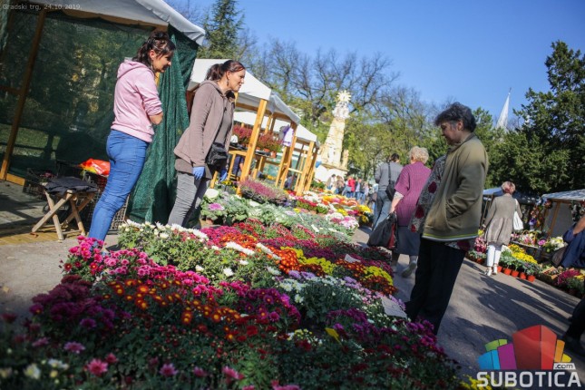 Jesenji vašar cveća u znaku hrizantema