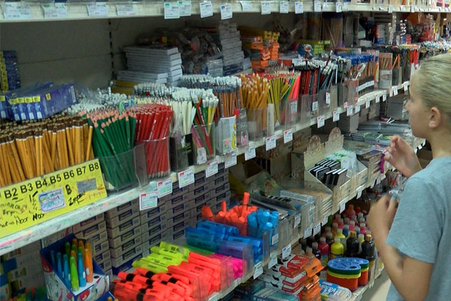 Koliko košta polazak u školu?