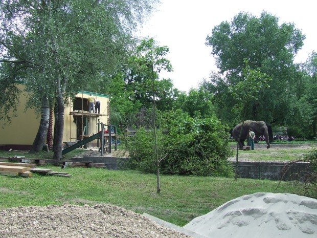 Radovi u zoološkom vrtu na Paliću