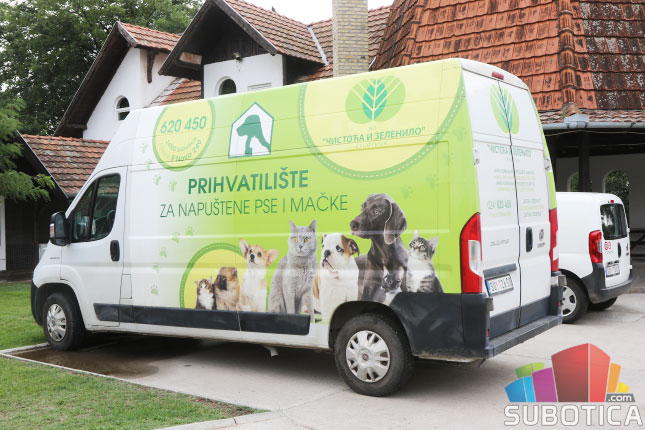 Dan napuštenih životinja - u Prihvatilištu 290 pasa čeka udomitelje