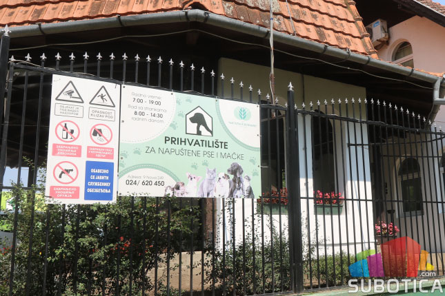 Dan napuštenih životinja - u Prihvatilištu 290 pasa čeka udomitelje