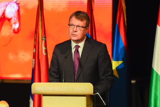 U Novom Sadu obeležen praznik mađarske nacionalne manjine, sutra centralna proslava "Sent Ištvana" na Paliću