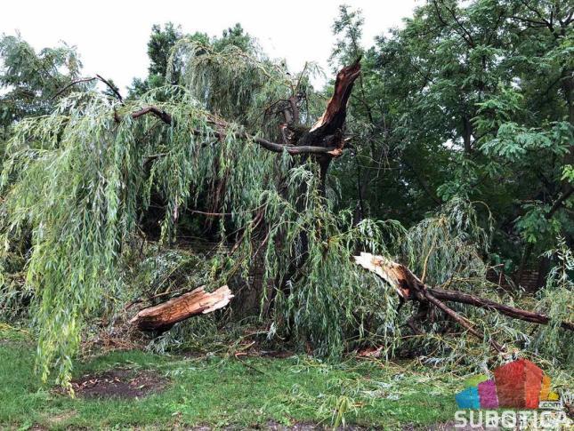 Nevreme u Subotici lomilo drveće, kidalo krovove, potapalo ulice i prevrtalo vozila