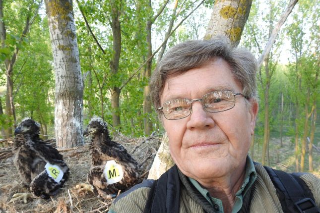 Struka pomogla orlovima belorepanima da ostvare potomstvo i produže vrstu