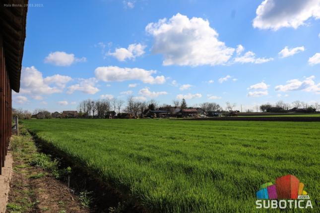 Prolećna setva skuplja za 30 odsto