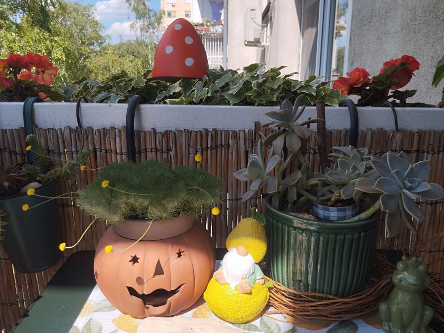 Poznati pobednici konkursa za najlepše dvorište i balkon