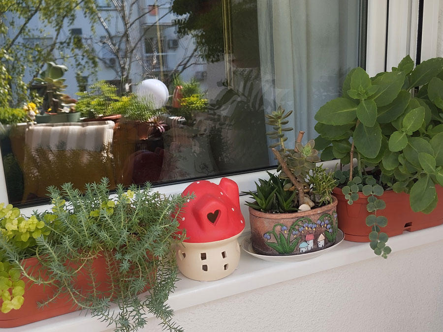 Poznati pobednici konkursa za najlepše dvorište i balkon