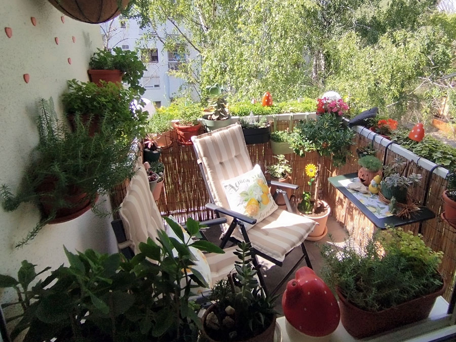 Poznati pobednici konkursa za najlepše dvorište i balkon