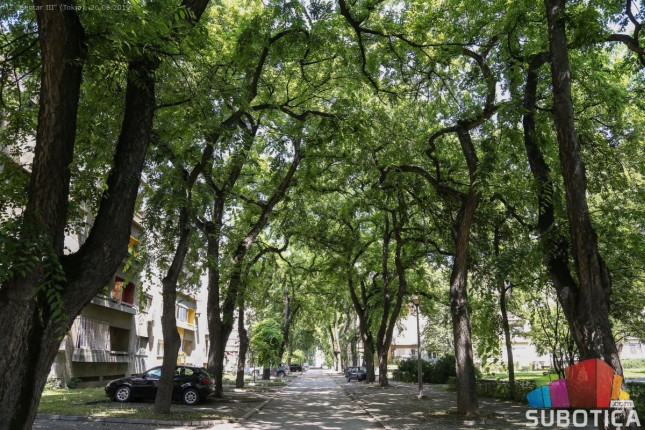 Japanska prestonica u srcu Subotice