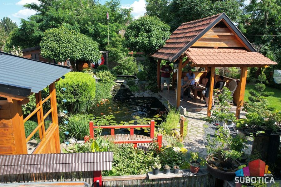 Mali Japan iza subotičke kapije: Vrt koji oduševljava sve koji ga posete
