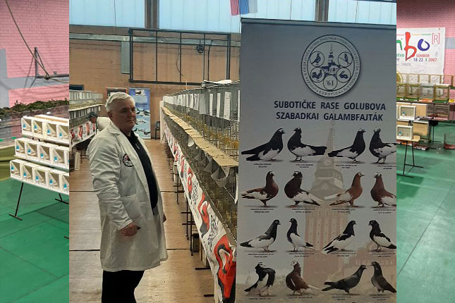 Subotičani izlagali i osvajali značajna priznanja na 45. Sajmu peradarstva i Prvenstvu Srbije sitnih životinja