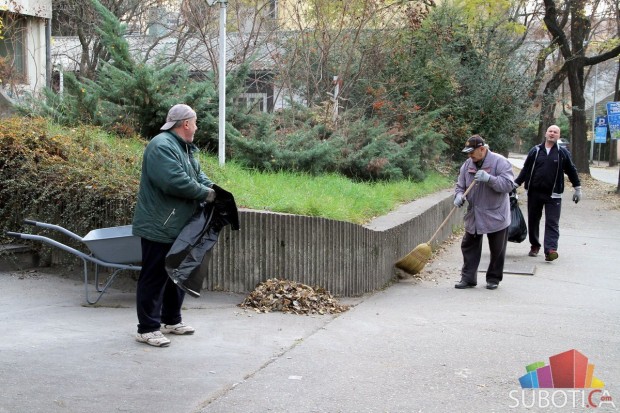 Mladi MZ "Centar 3" ulepšavali svoju okolinu