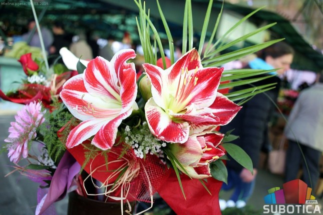 Bogata ponuda cveća na pijacama uoči praznika