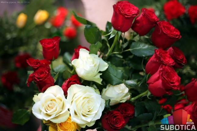 Bogata ponuda cveća na pijacama uoči praznika