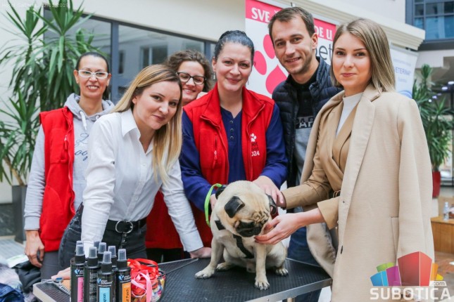 Najlepše ljubimce Subotice nagradio "Pet svet 024"