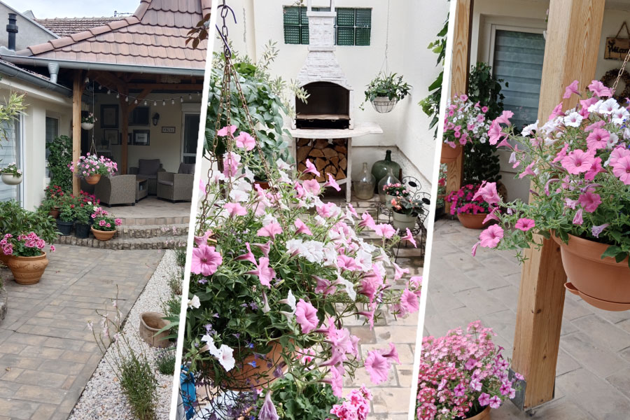 Izbor za najlepše dvorište Subotice - pogledajte prijave i glasajte za vašeg favorita